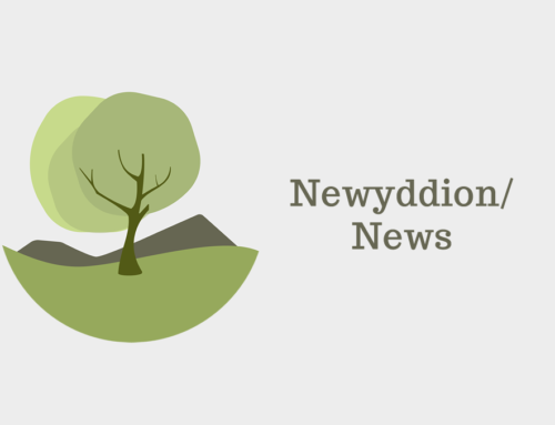 Gwybodaeth am y Cwricwlwm Newydd i Gymru / Information about New Curriculum for Wales