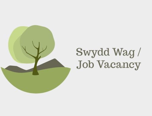 Swydd Cynorthwyydd Dysgu – Cyfnod Penodol / Teaching Assistant Post – Fixed Term Contract